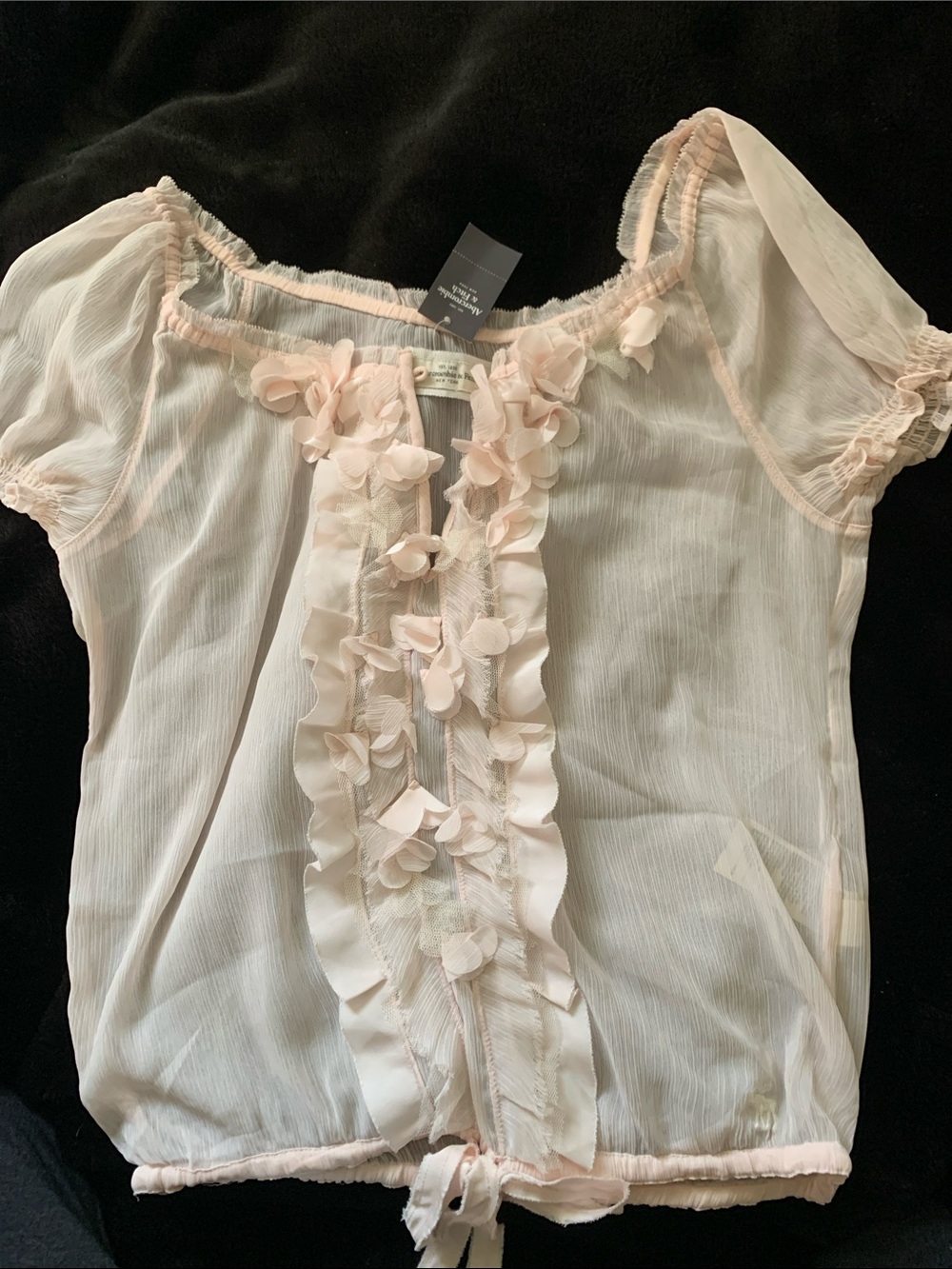 Abercrombie & Fitch Pale Pink Sheer Floral Ruffle Blouse